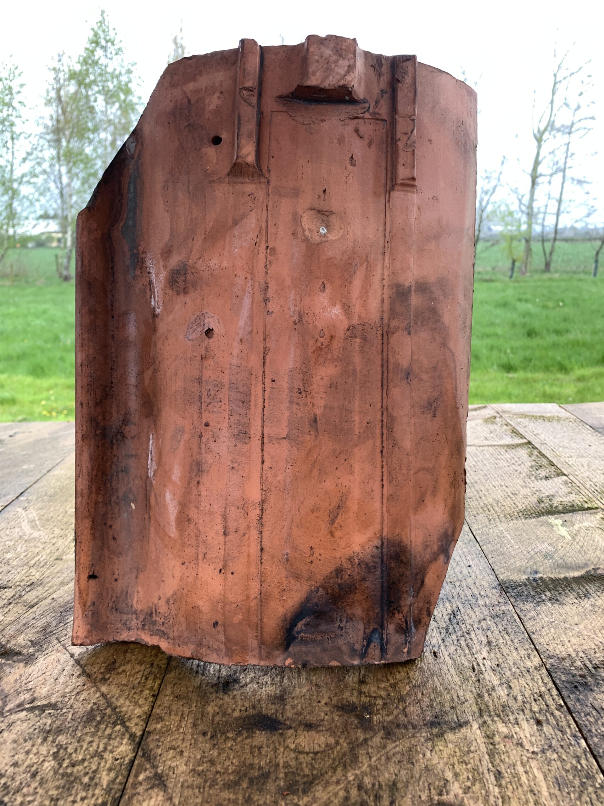green the reclaimed company