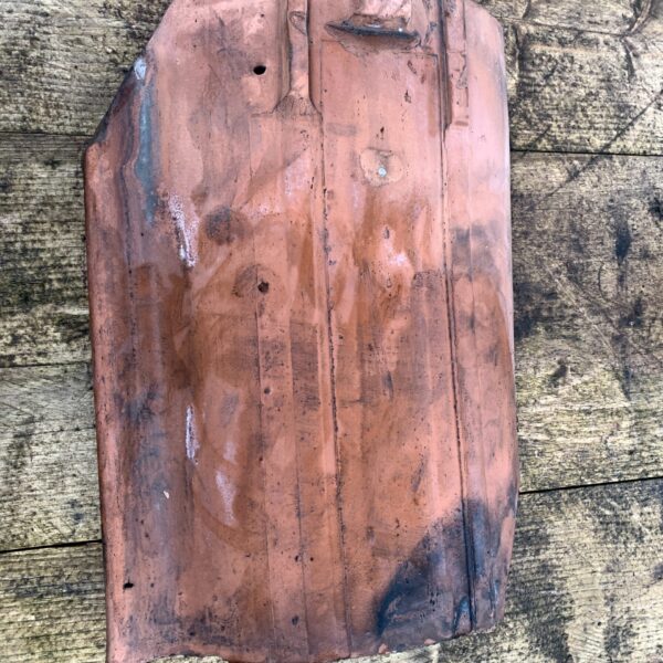 green the reclaimed company