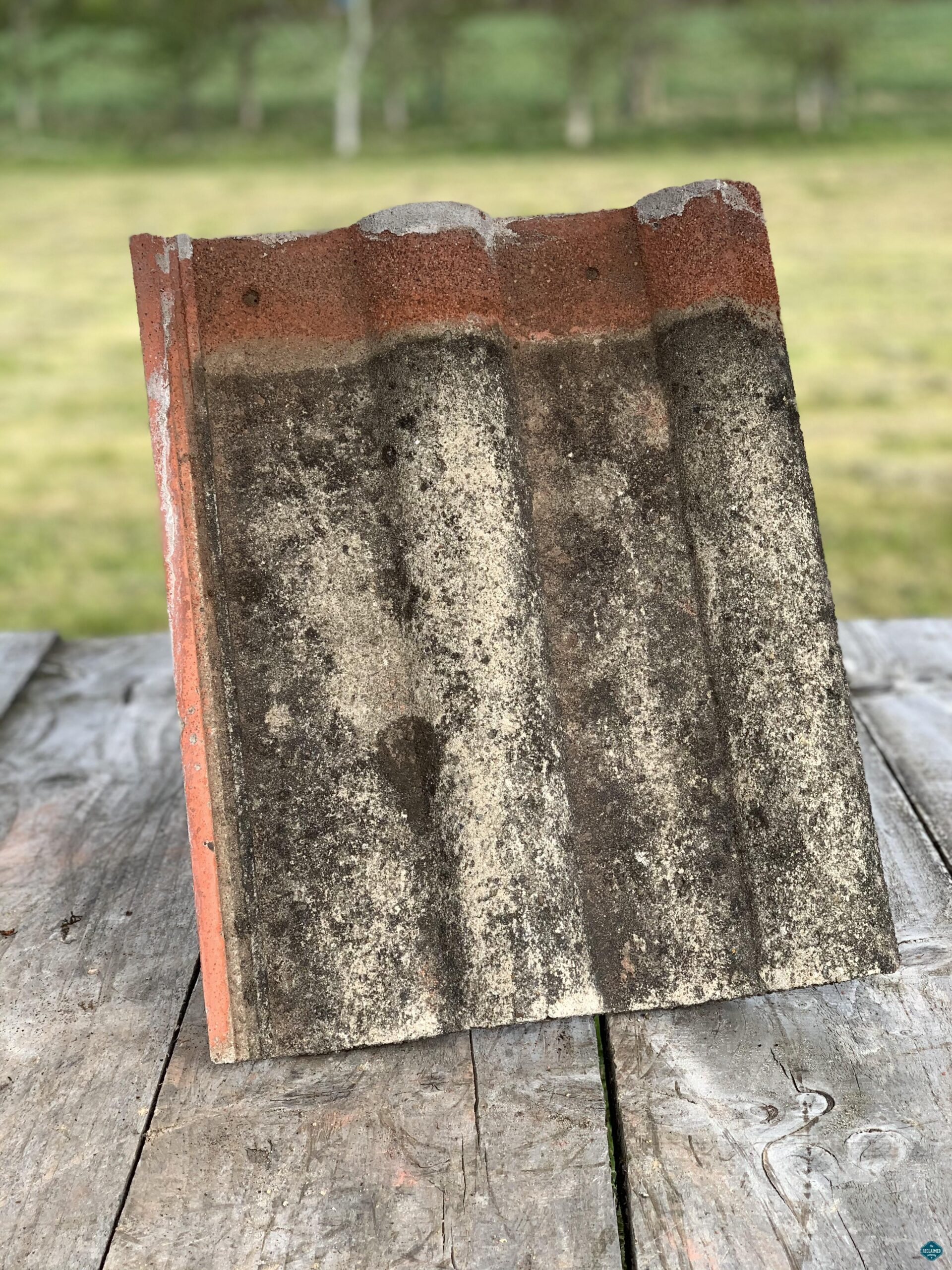 reclaimed double roman