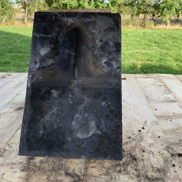 16x10 welsh the reclaimed company