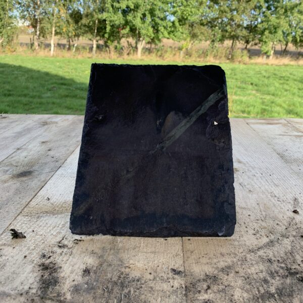 10x10welshthereclaimedcompany