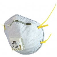 Dust Mask (FFP2)