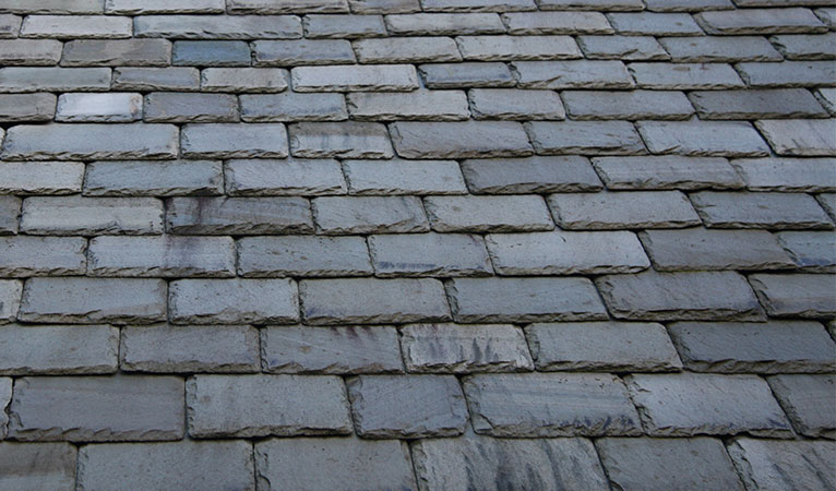 westmorland-green-close-up
