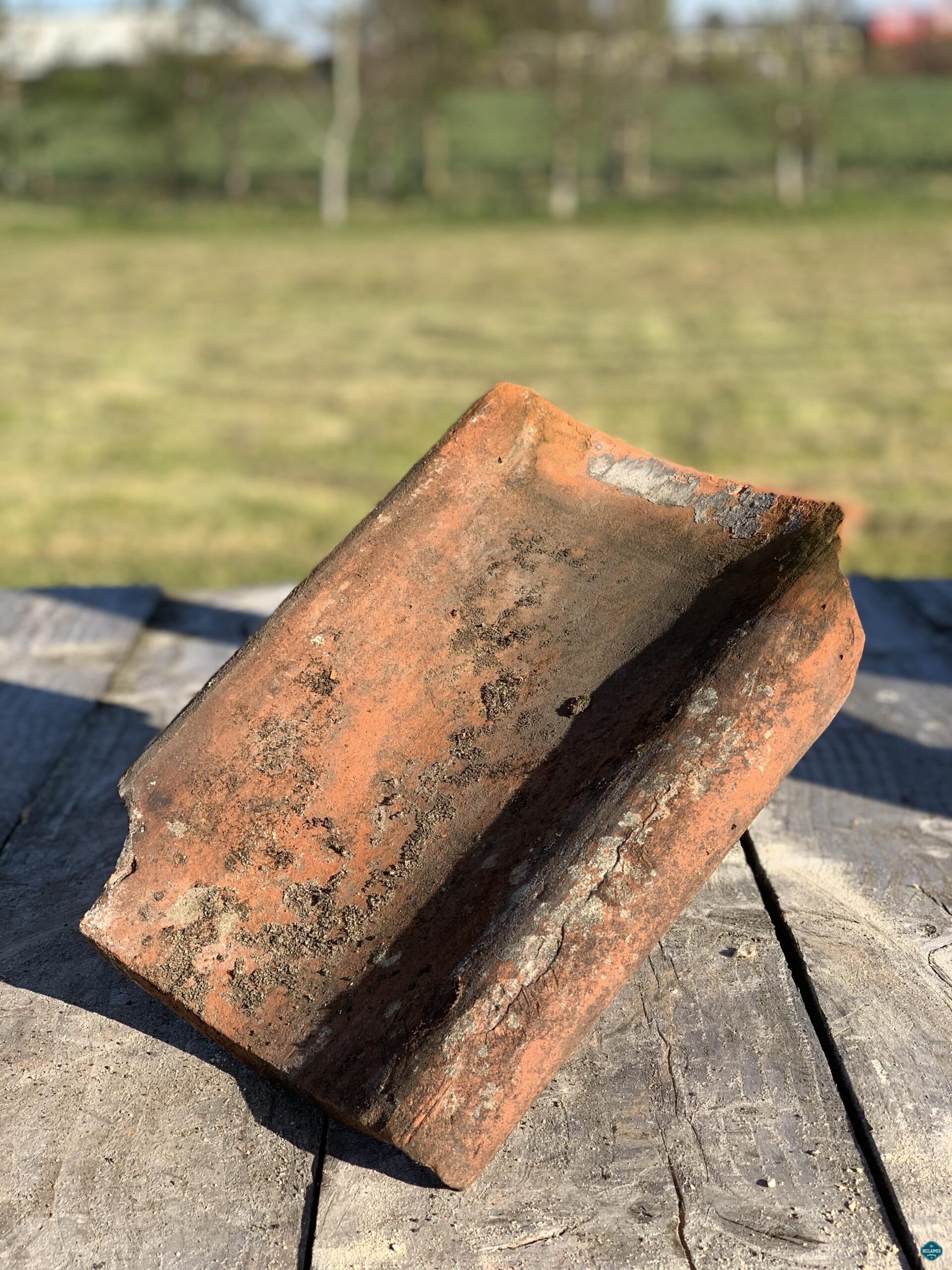 Clay pantiles "Cow Shed" - Image 4