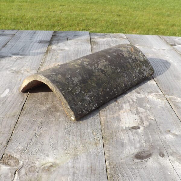 Sterreberg half round ridge