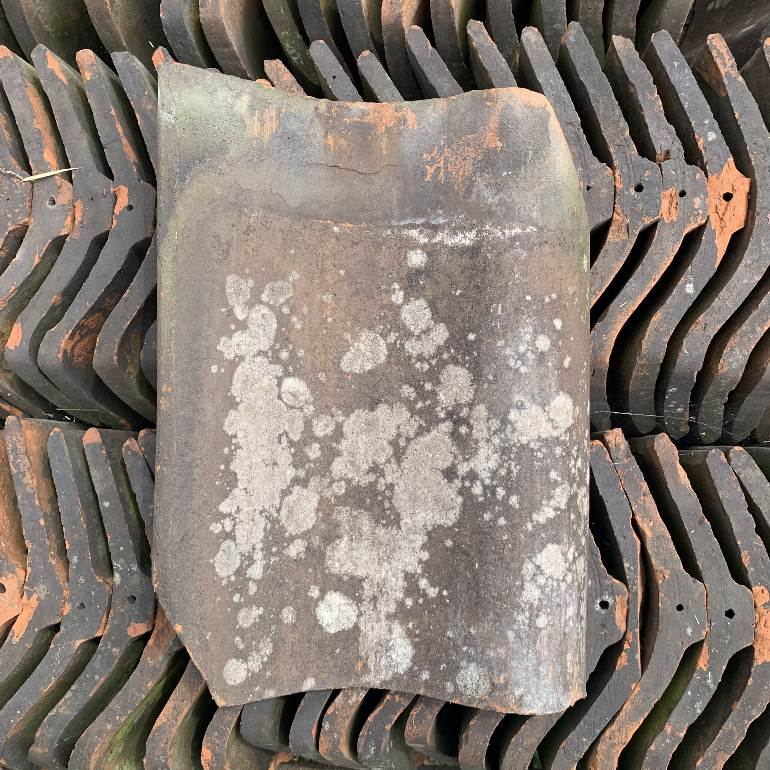 Pantile - Clay Brown Reclaimed Good Quality PAN01 The Reclaimed Company