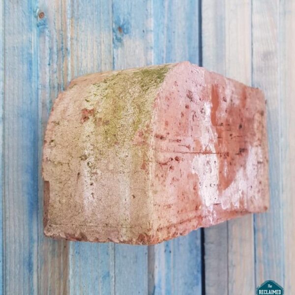 Red Clay Bullnose Brick The Reclaimed Company