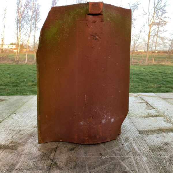 barco red the reclaimed company
