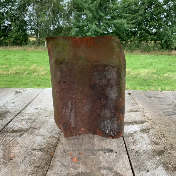 barco red sand faced the reclaimed company