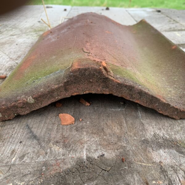 barco red sand faced the reclaimed company