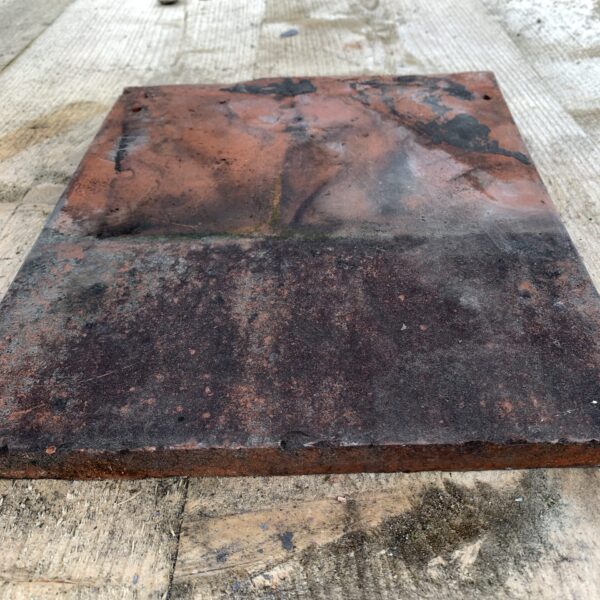 w Blyth reclaimed company