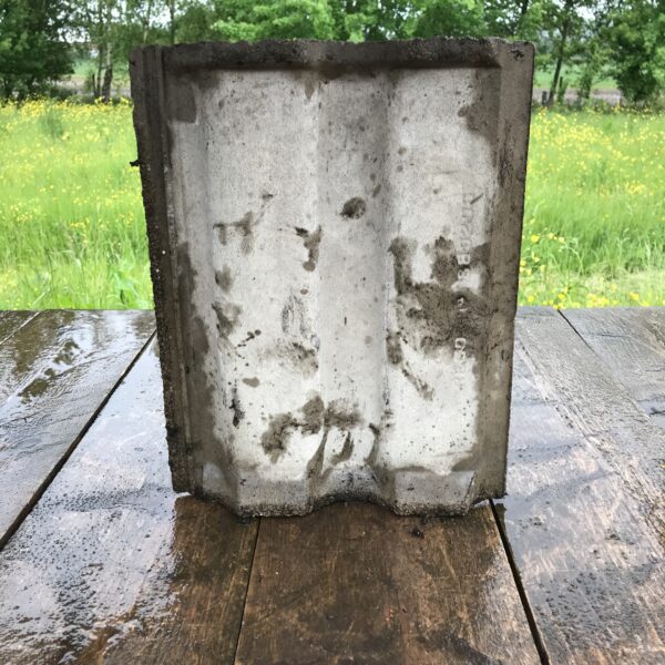 buff double roman, the reclaimed company