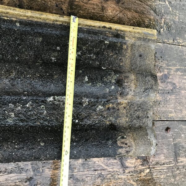 buff double roman, the reclaimed company