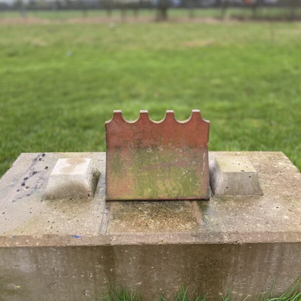 Reclaimed detail Ridge