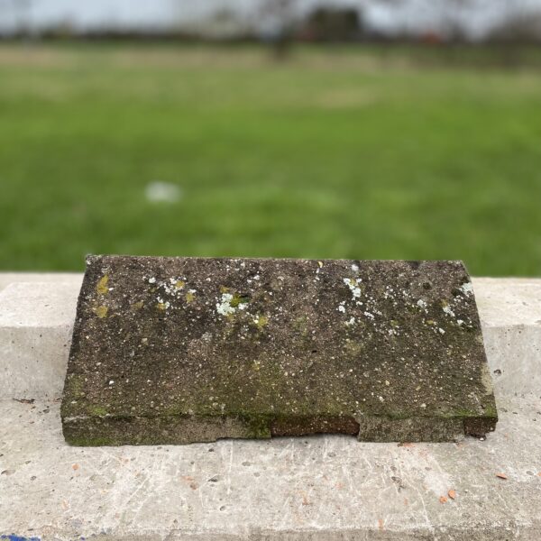 Reclaimed Concrete Angle Ridge Tile